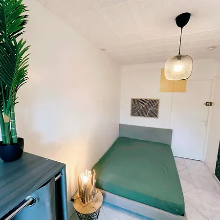 Colocation Maison - Pres De Lyon Guest house *